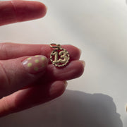 Lucky 13 Charm