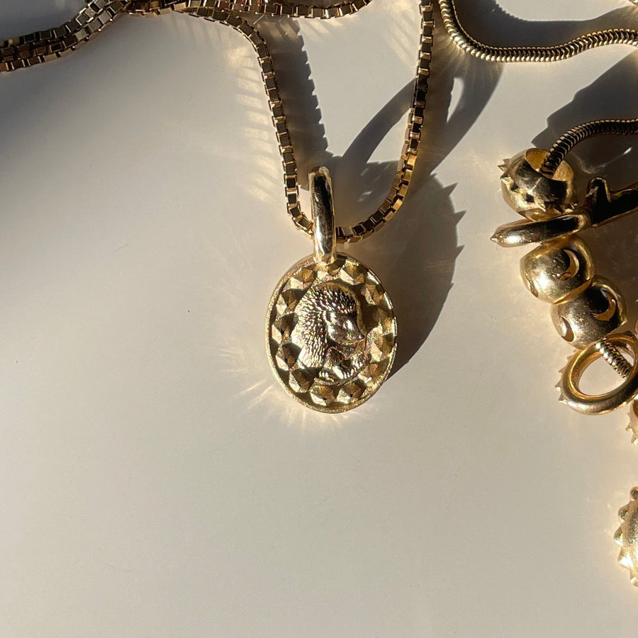 14K Gold Hedgehog Medallion