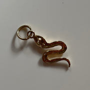 back of snake charm