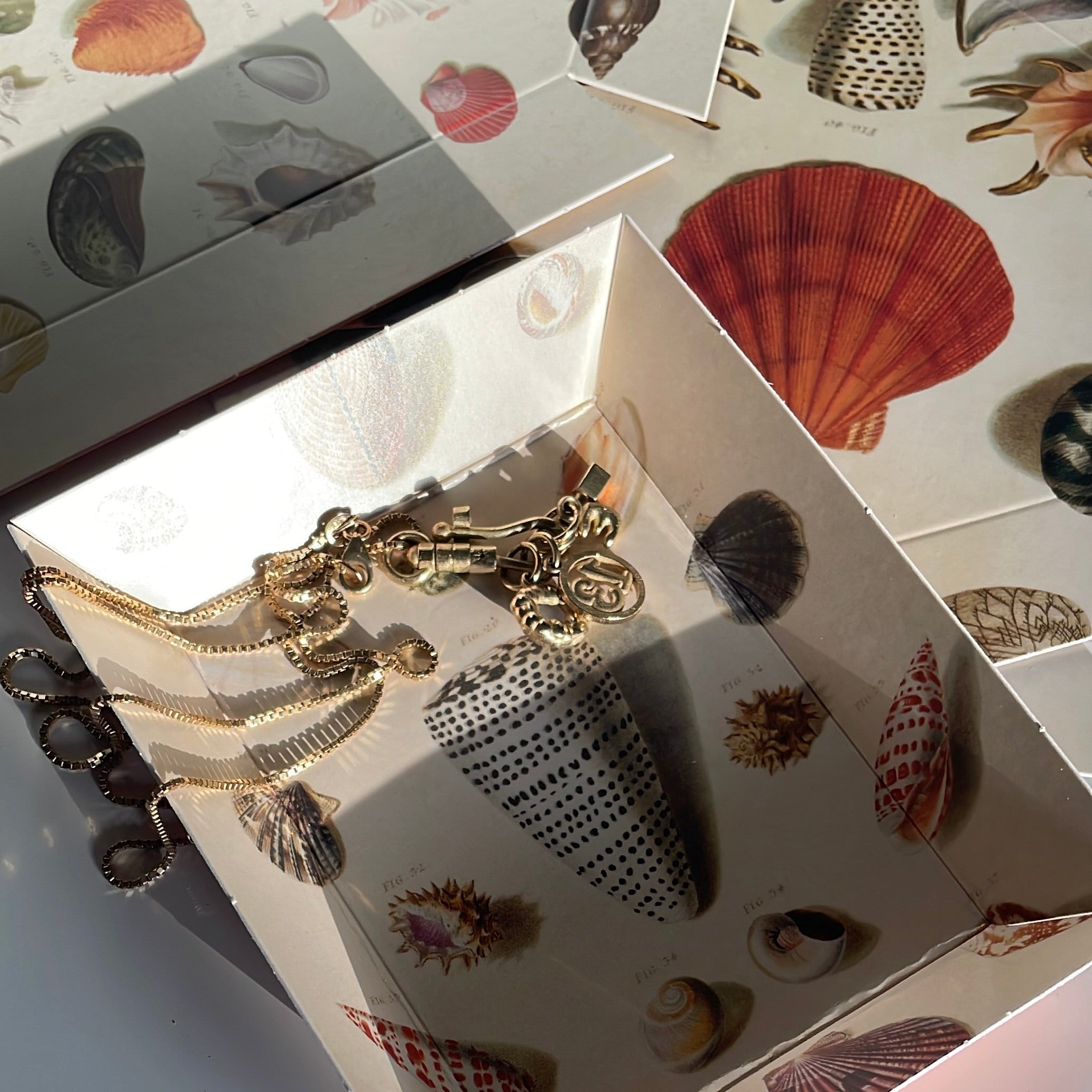 Fine Paper Jewelry Trays